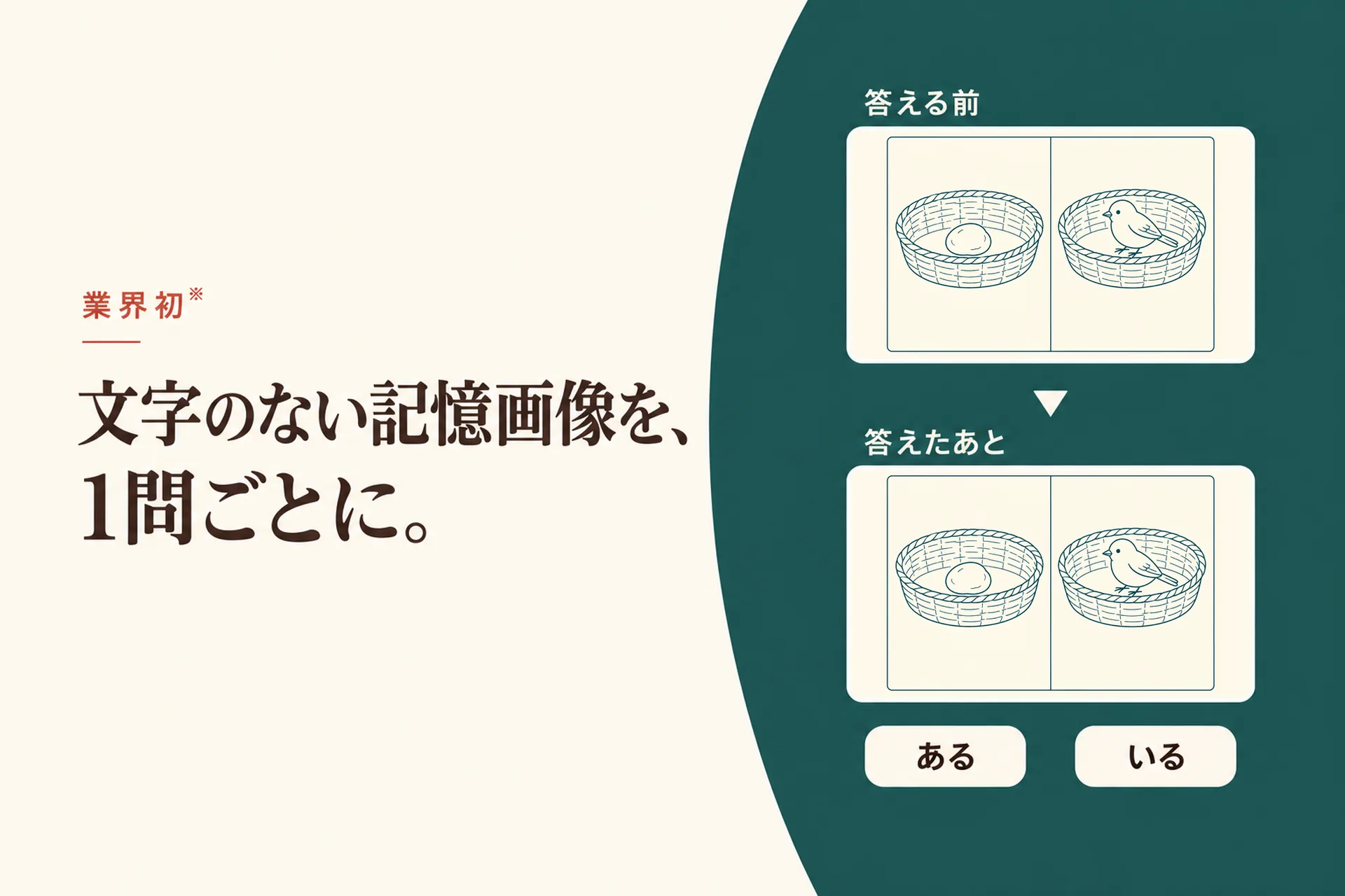 業界初※ 文字のない記憶画像を、1問ごとに。答える前は図だけ。答えたあとに、「ある」「いる」の用語が重なる。